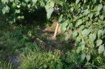 IMG_4999_wm_1600.jpg