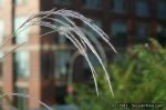 IMG_5044_wm_1600.jpg