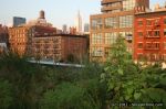 IMG_5116-e1_wm_1600.jpg