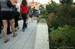IMG_5122-e1_wm_1600.jpg