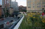 IMG_5108_wm_1600.jpg