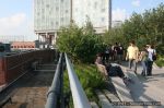 IMG_4995-e1_wm_1600.jpg
