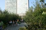 IMG_4996-e1_wm_1600.jpg